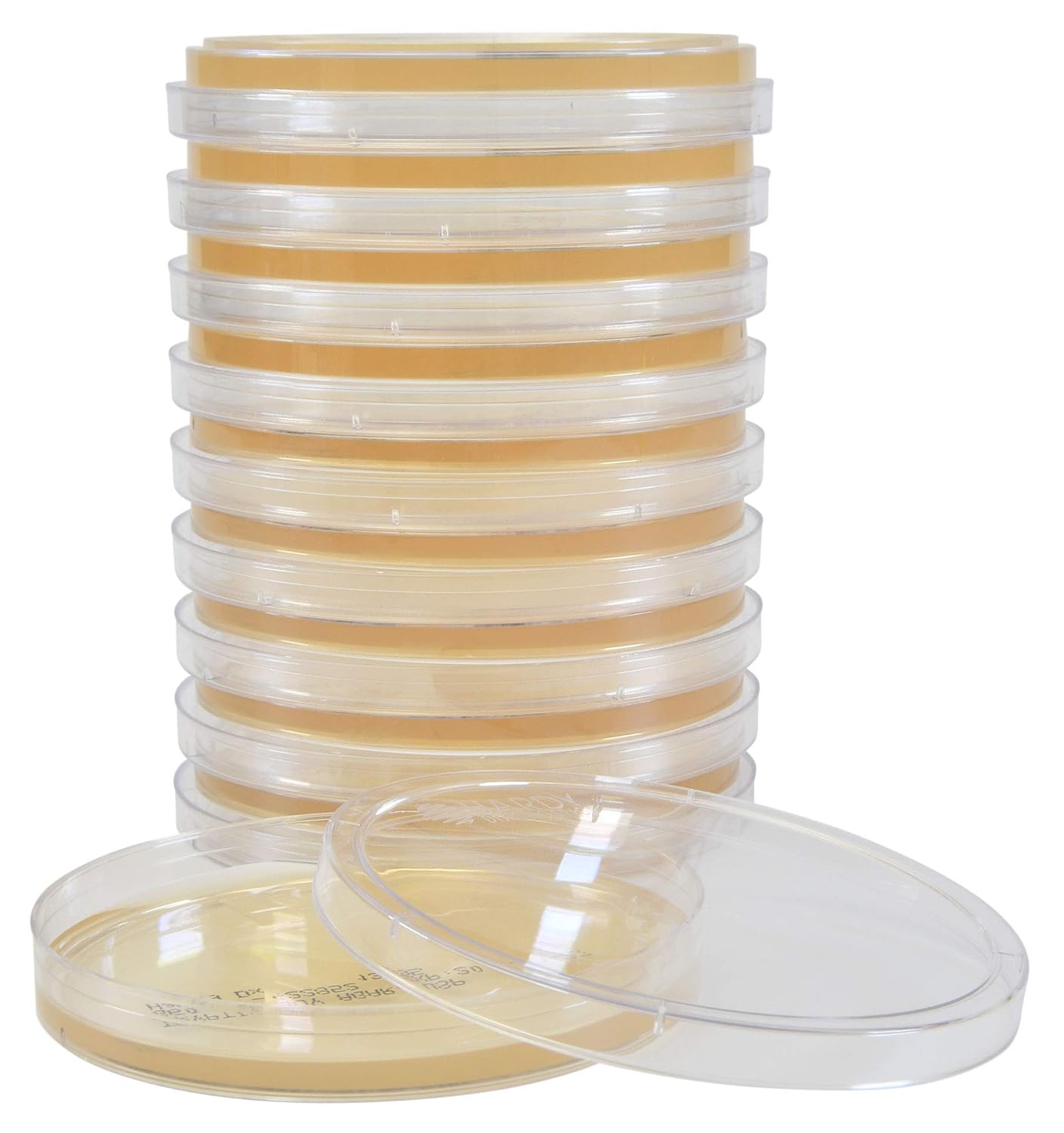 Môi Trường Tryptic Soy Agar (TSA)