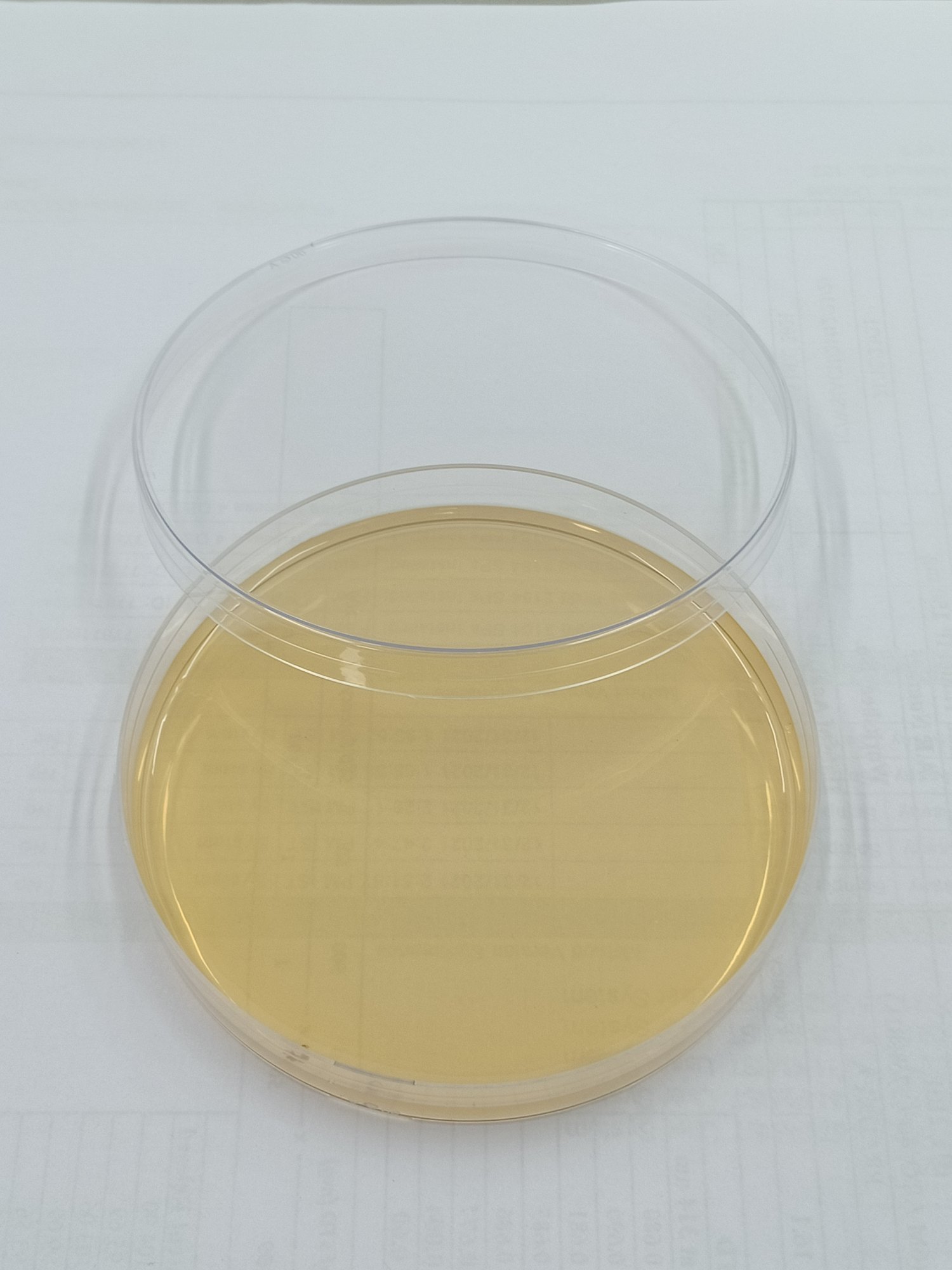 Môi Trường Chromogenic UTI Agar