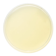 Môi Trường Sabouraud Dextrose Agar (SDA)